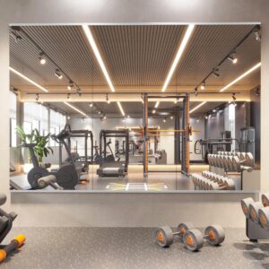1. Pertetey Home Gym Mirror