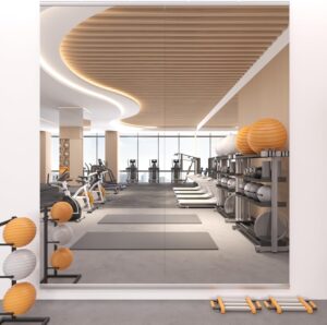10. STAWDY Home Gym Mirror