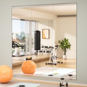 2. Hasipu Home Gym Mirror