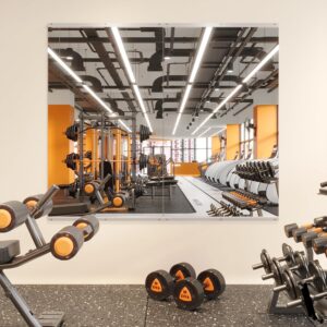 7. ROOMTEC Home Gym Mirror