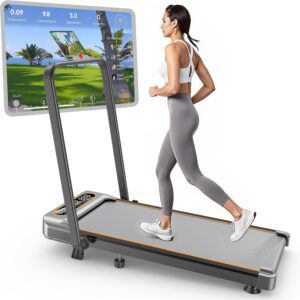 10. Trisomy Folding Treadmill with Incline